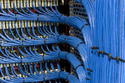 Neatly bundled blue network cables routed into organized patch panels